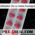 Utilisation De La Gelée Kamagra 18